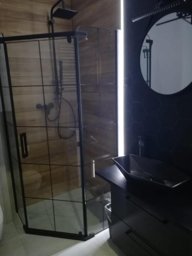 Homely Apartment Ζιελόνα Γκόρα Εξωτερικό φωτογραφία